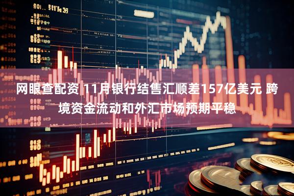 网眼查配资 11月银行结售汇顺差157亿美元 跨境资金流动和外汇市场预期平稳